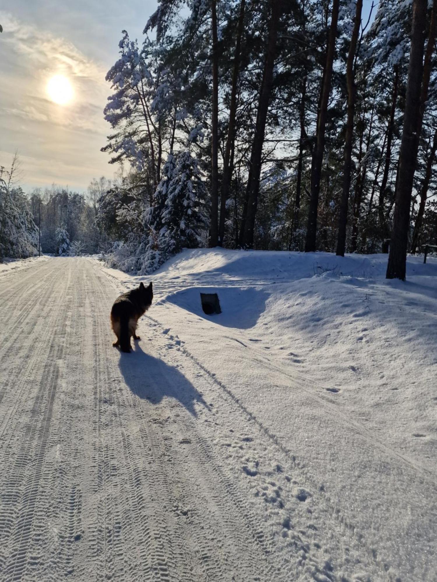 Apartamenty Mazury Mrągowo Exteriör bild