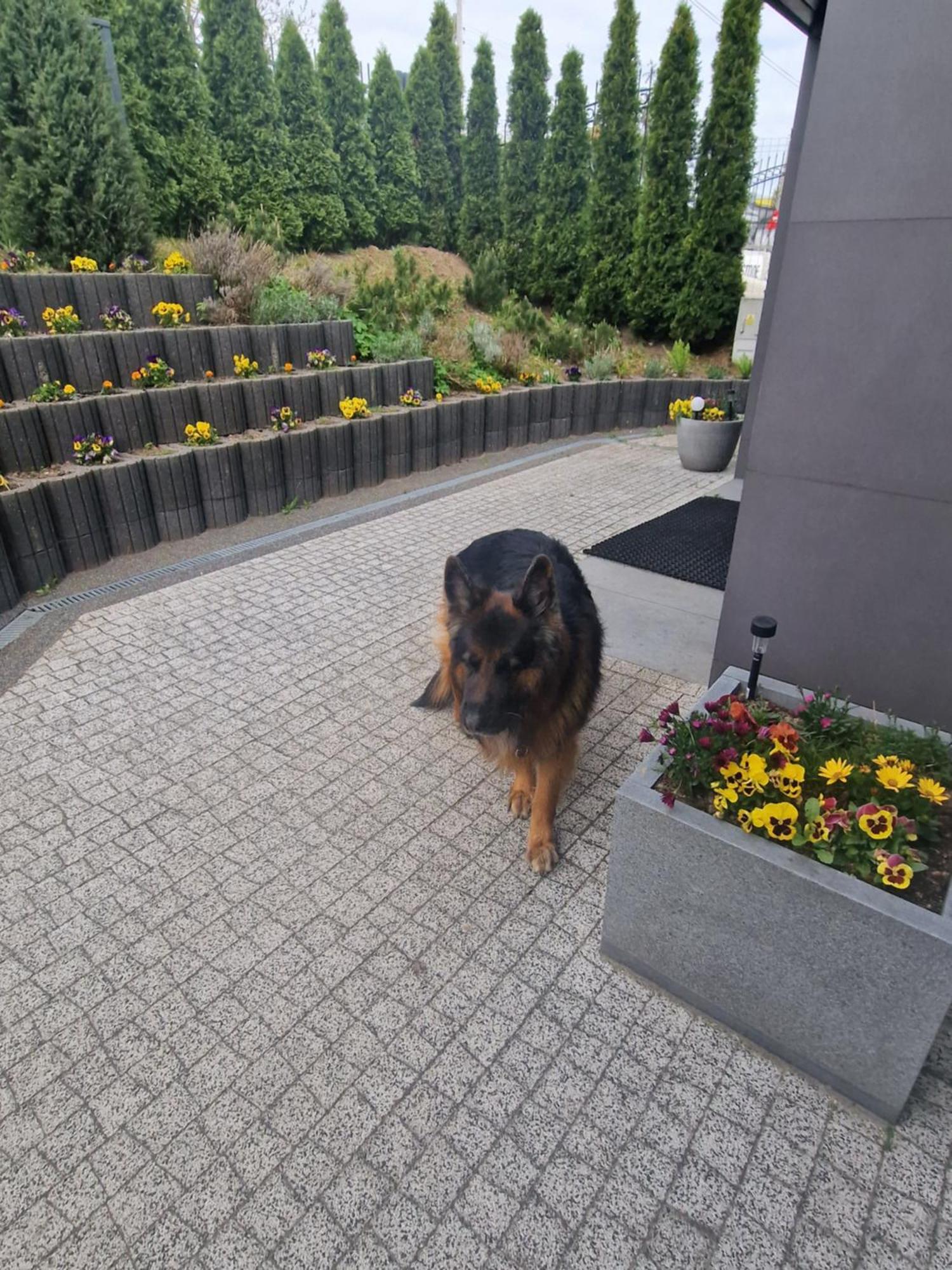 Apartamenty Mazury Mrągowo Exteriör bild